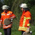 IMG_1231