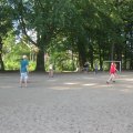 IMG_6236