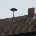 IMG_1445