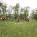 IMG_3131