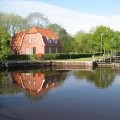 IMG_1987