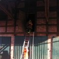 IMG_3557 (2)