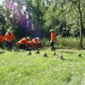IMG_9191
