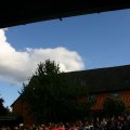 IMG_4981